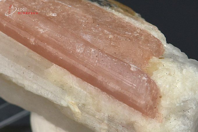 cristal de tourmaline rose sur quartz