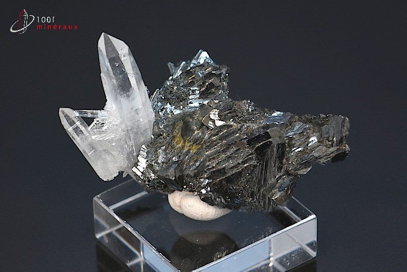 Tétraédrite et Quartz - France - minéraux à cristaux 5,2 cm / 21 g / BM226