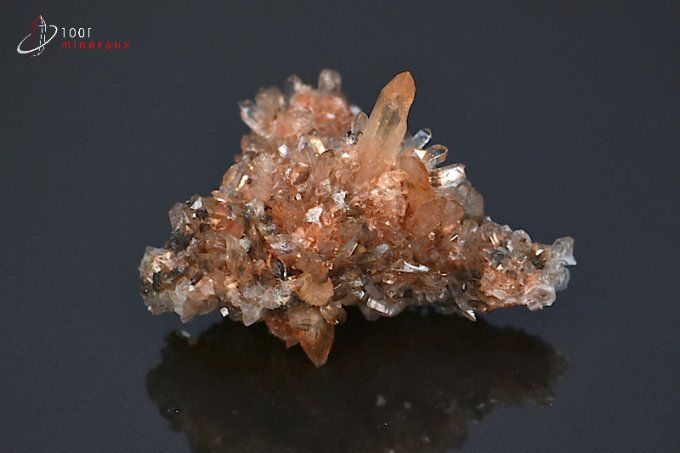 creedite