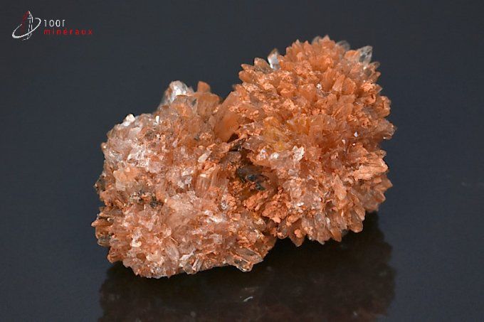 creedite