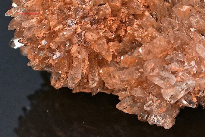 creedite