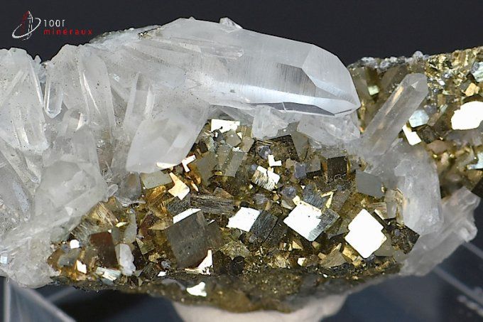 quartz et pyrite cristalises