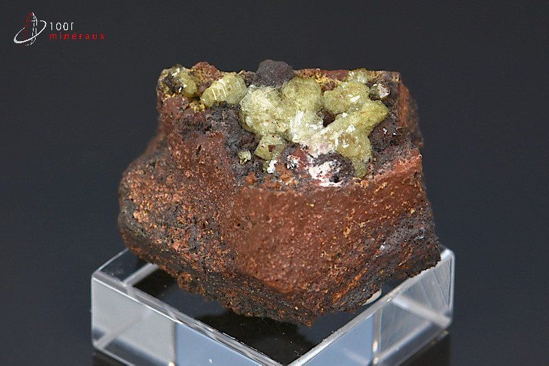 Adamite sur Limonite - Mexique - minéraux à cristaux 3,4 cm / 31g / BM261