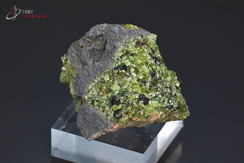 Péridot - U.S.A. - minéraux à cristaux 3,2cm / 39g / BM265