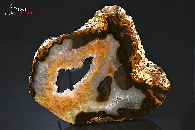 Grande tranche d'Agate naturelle - Brésil - minéraux bruts 14,7 cm / 389g / BM556