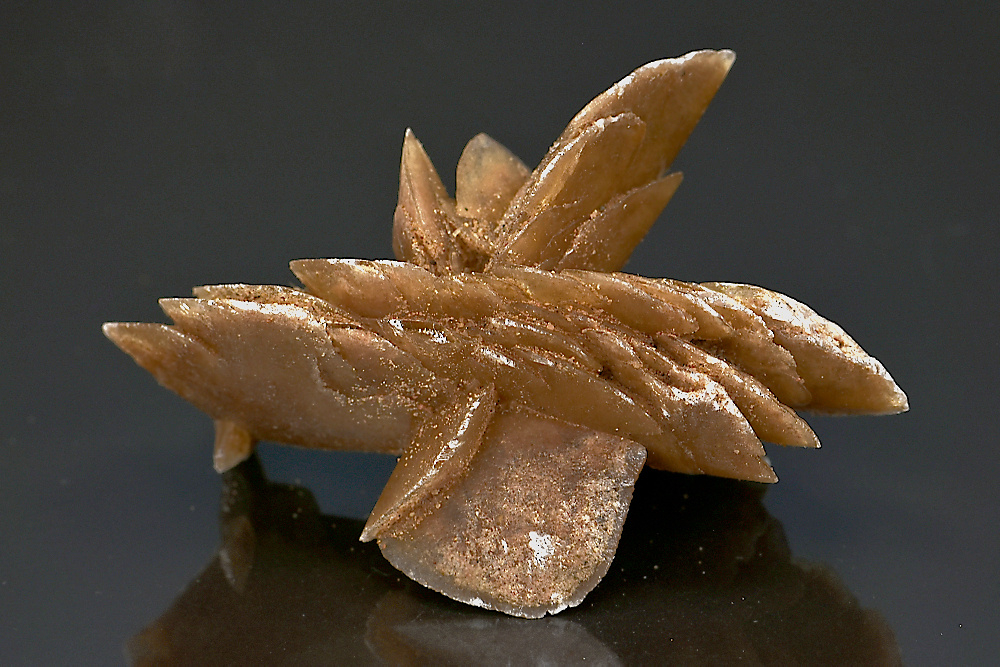 Rose des sables