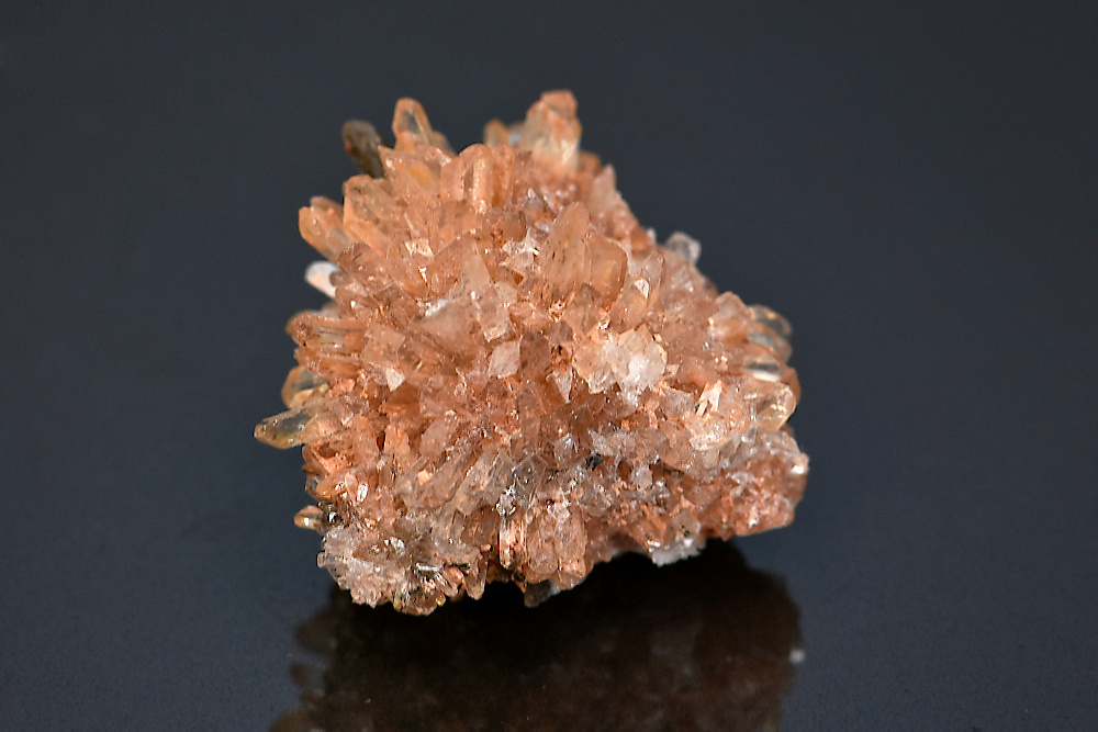 Creedite