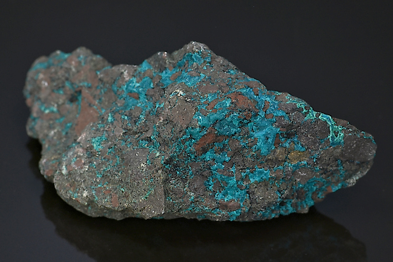 Chrysocolle brute