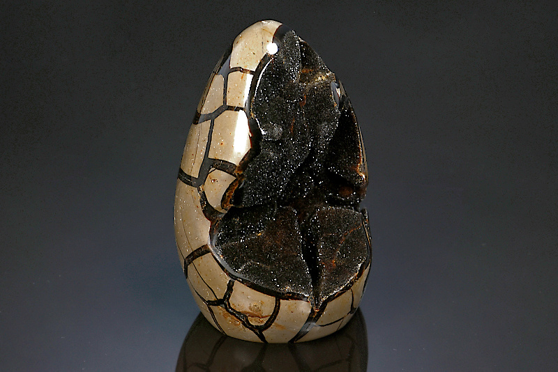 Septaria sauvage polie